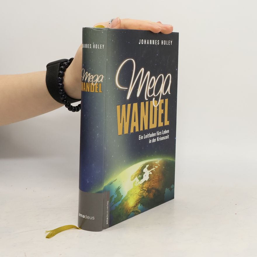 Johannes Holey Mega Wandel