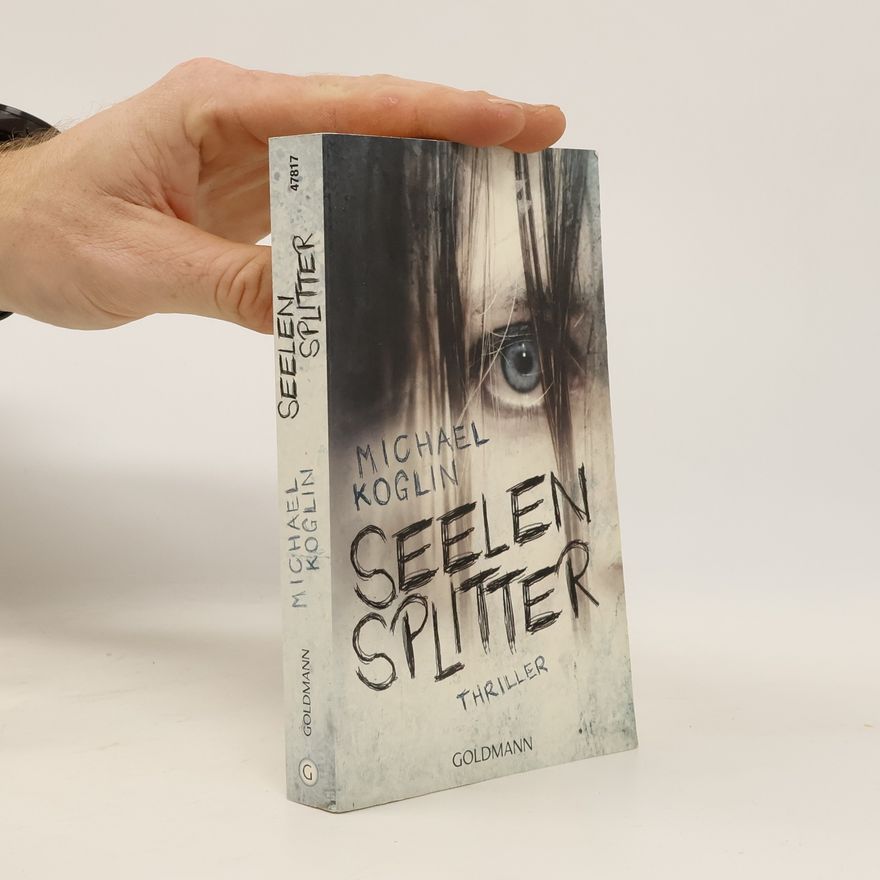 Michael Koglin Seelensplitter