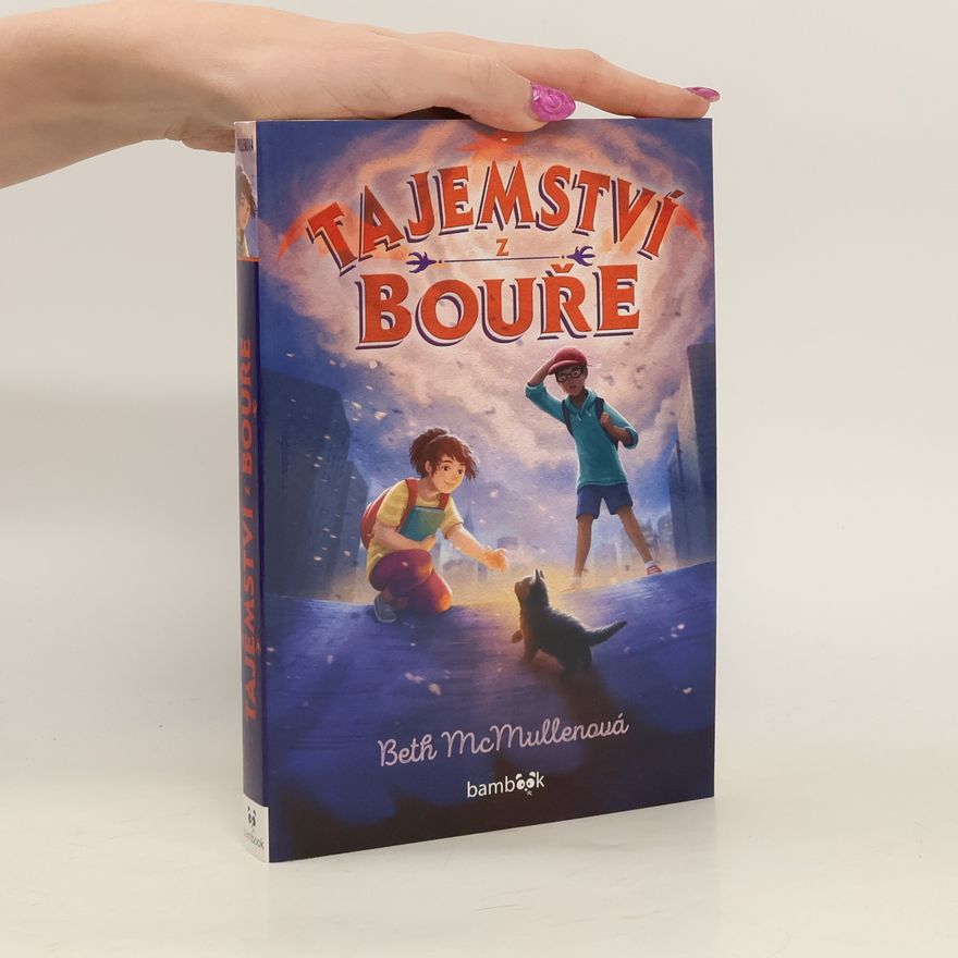 Beth McMullen Tajemství z bouře