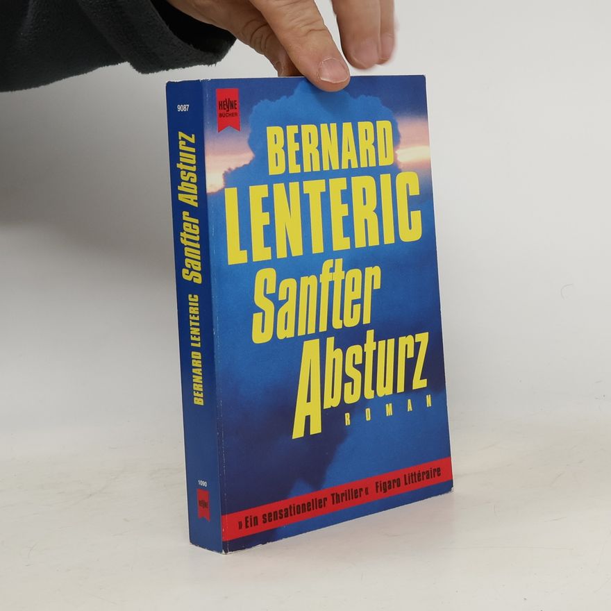 Bernard Lenteric Sanfter Absturz