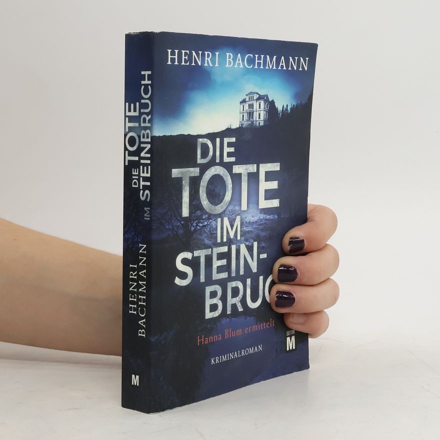 Henri Bachmann Die Tote im Steinbruch