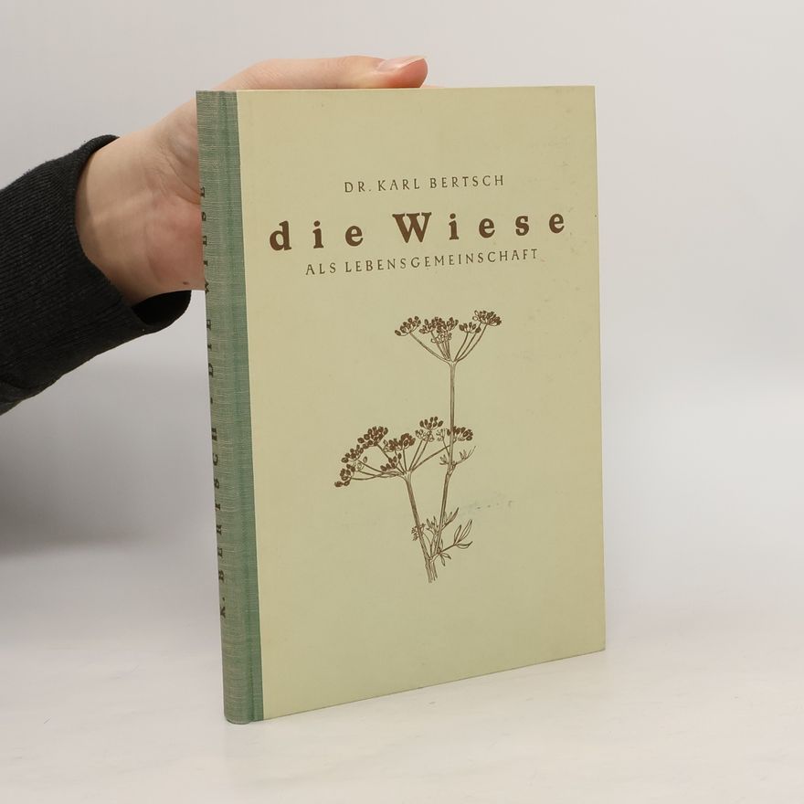 Karl Bertsch Die Wiese