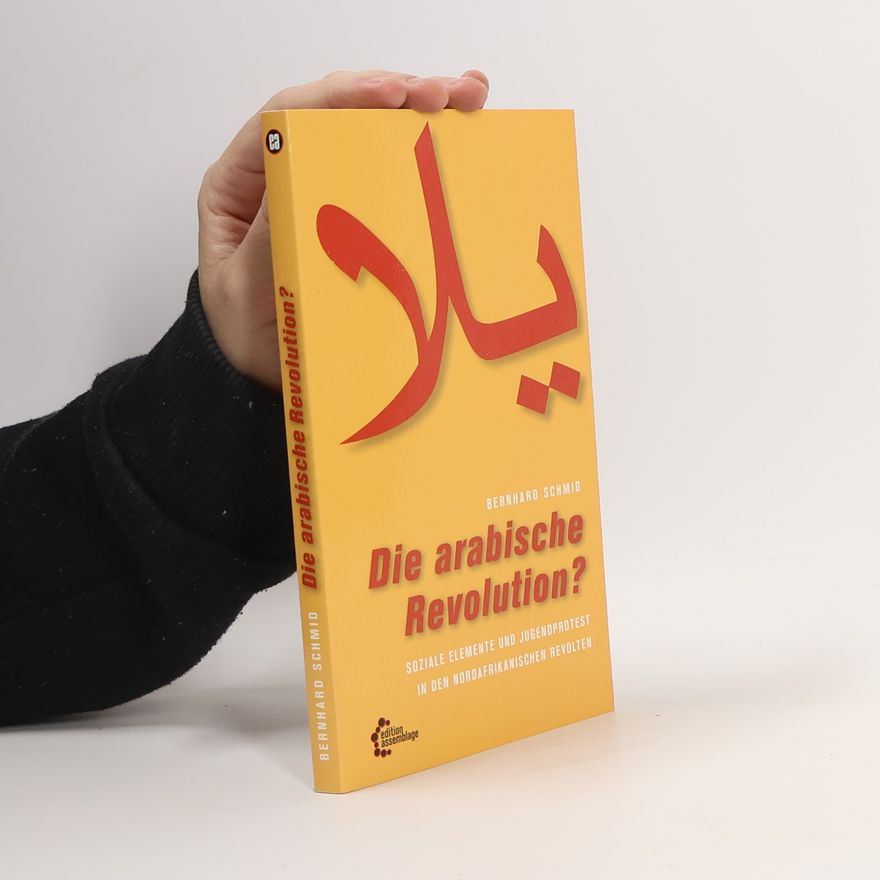 Bernhard Schmid Die arabische Revolution?