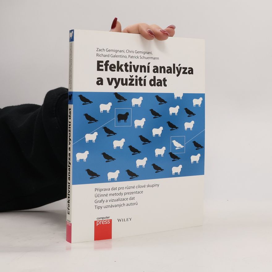 Patrick Schuermann Efektivní analýza a využití dat