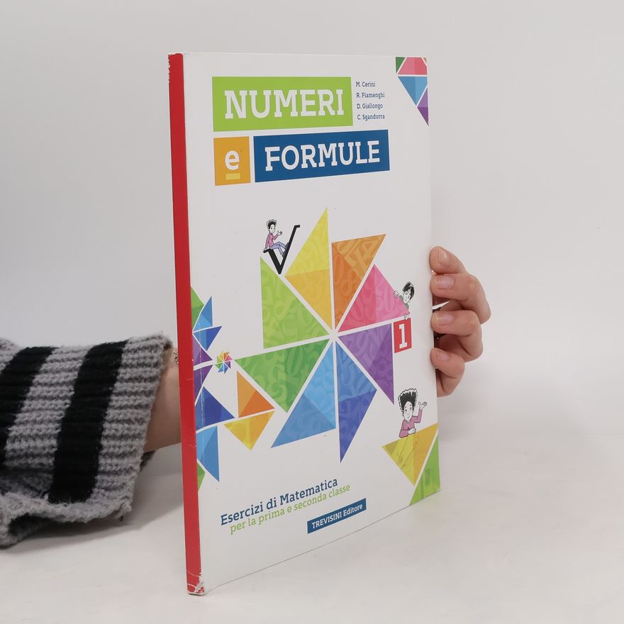 Kolektiv autorů Numeri e formule 1