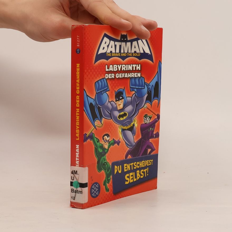 Tracey West Batman – Labyrinth der Gefahren. Du entscheidest selbst!