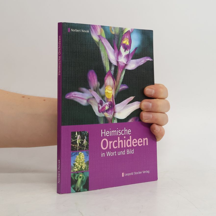 Norbert Novak Heimische Orchideen in Wort und Bild