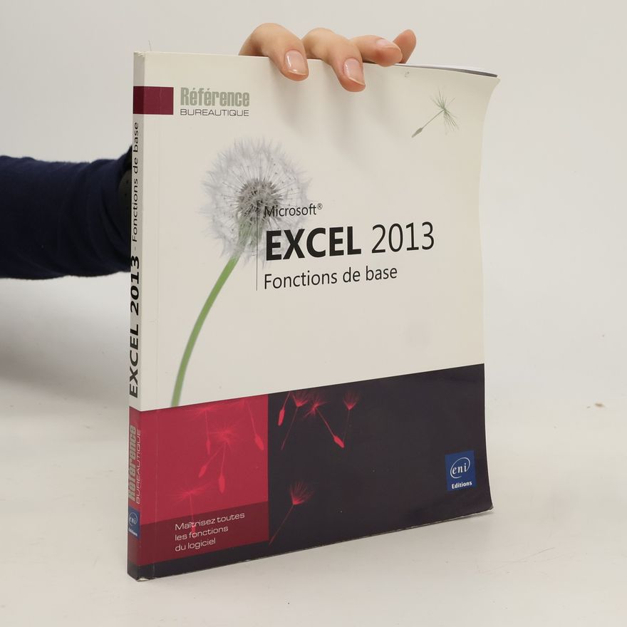 Corinne Hervo Excel 2013