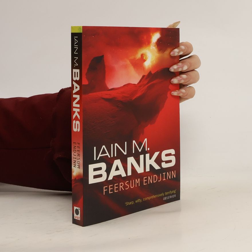Iain M. Banks Feersum endjinn
