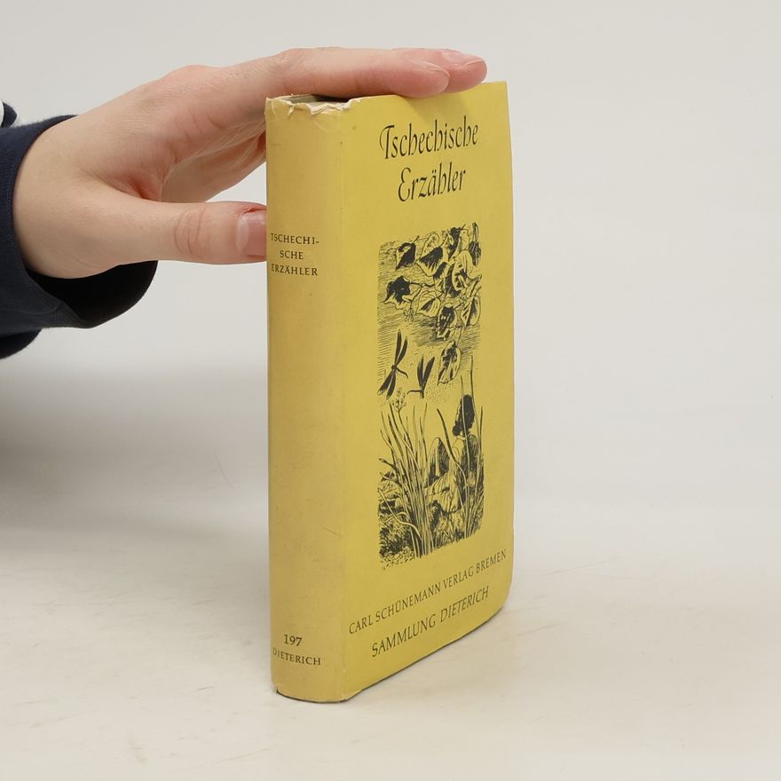 Kolektiv autorů Tschechische Erzähler