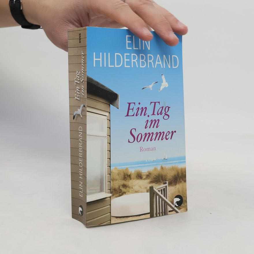 Elin Hilderbrand Ein Tag im Sommer