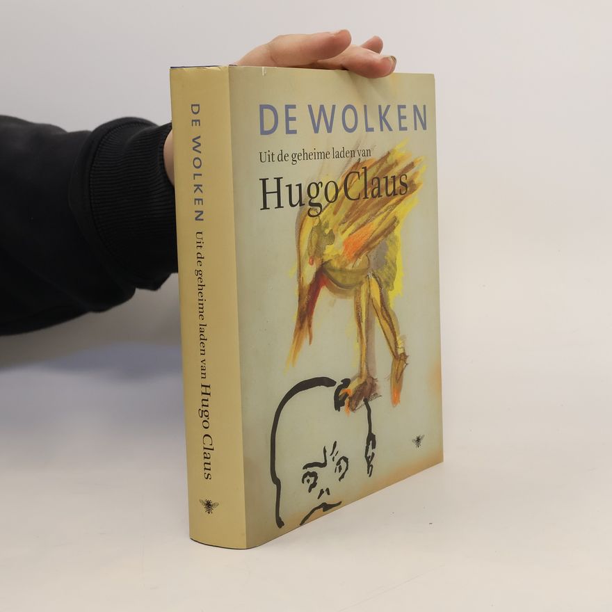 Mark Schaevers De wolken