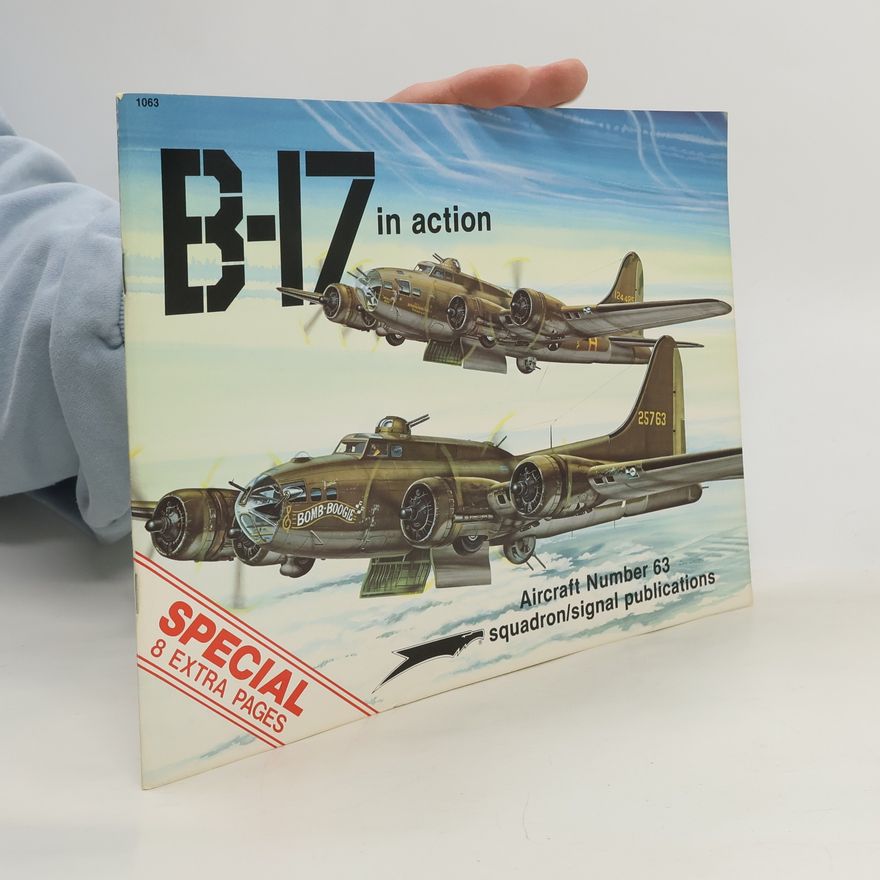 Larry Davis B-17 in Action