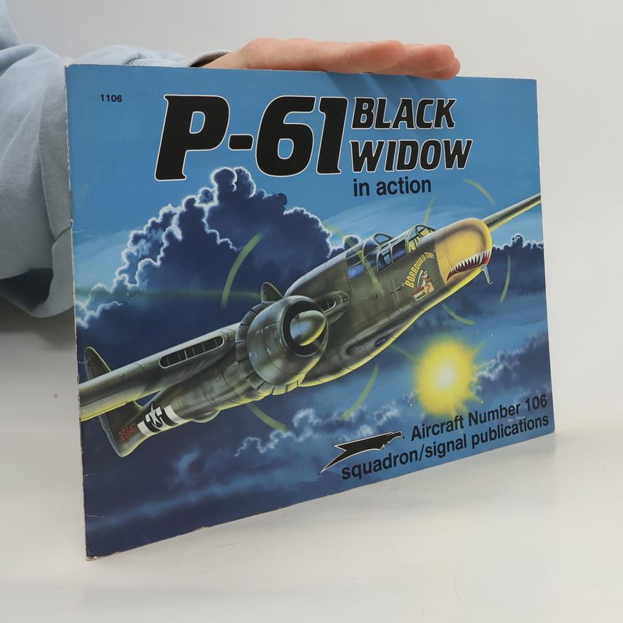Joe Sewell P-61 Black Widow in Action