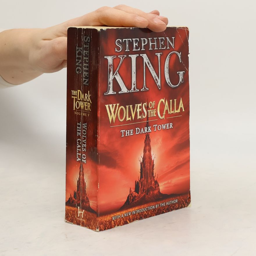 Stephen King Wolves of the Calla