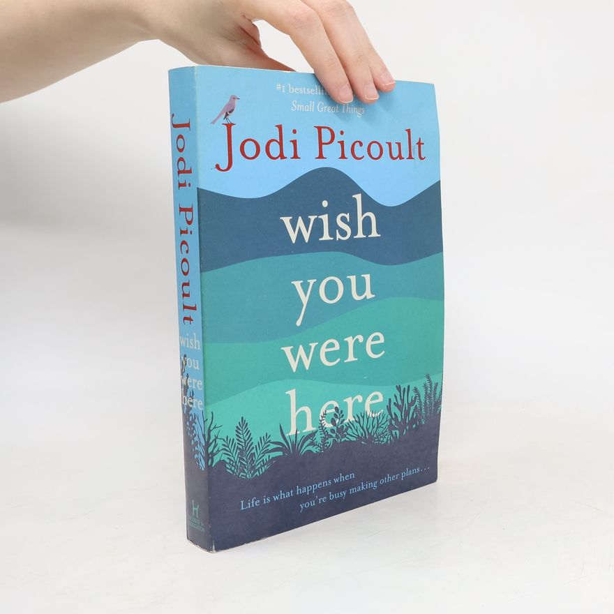 Jodi Picoult Wish you were here