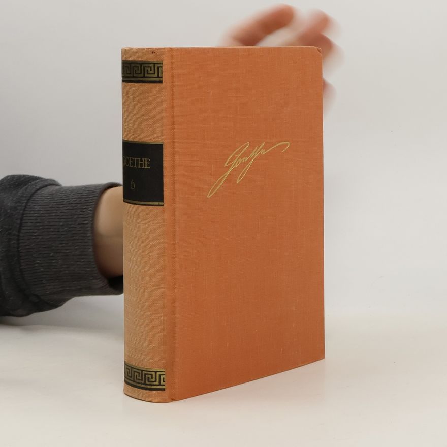 Johann Wolfgang von Goethe Goethes Werke 6