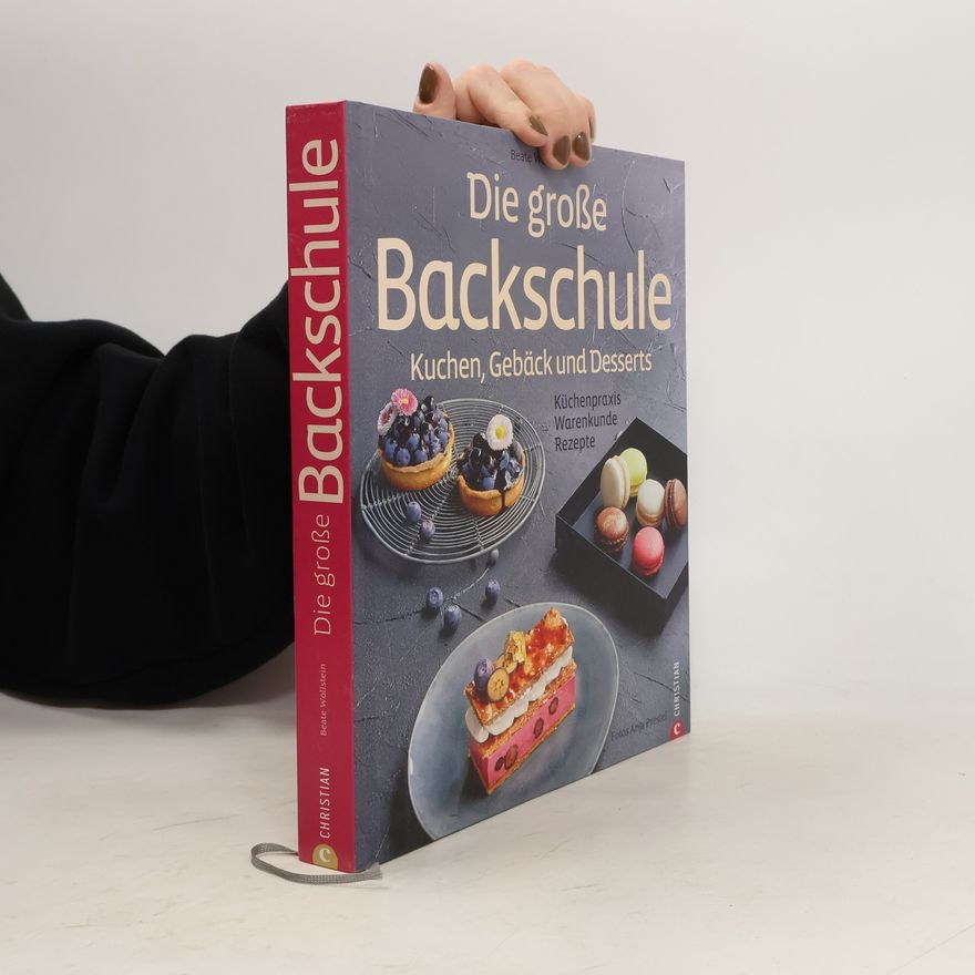 Beate Wöllstein Die große Backschule