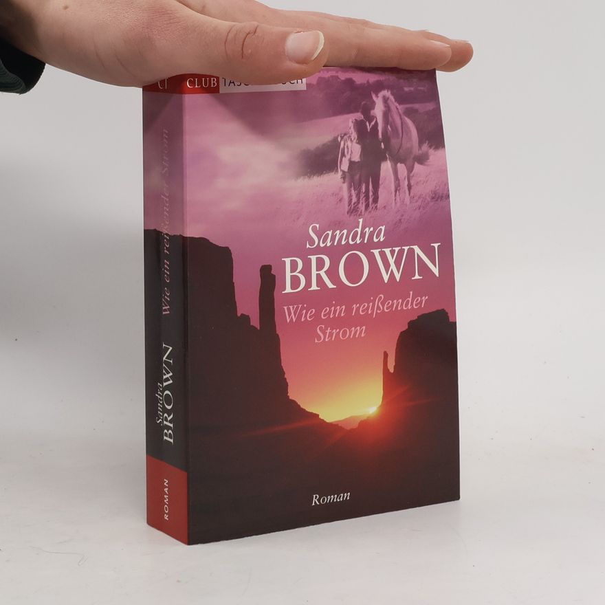 Sandra Brown Wie ein reißender Strom