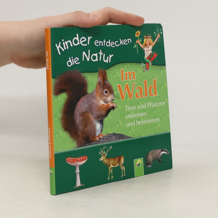 Marcus Würmli Im Wald