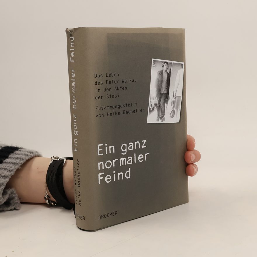 Heike Bachelier Ein ganz normaler Feind