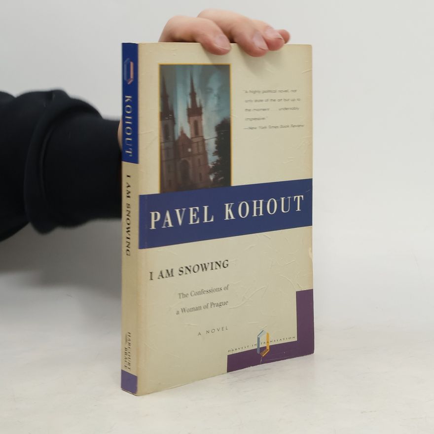 Pavel Kohout I am Snowing
