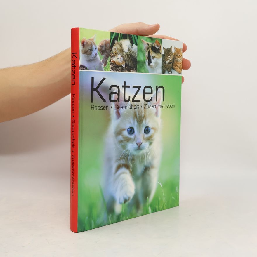 Antje Breuer Katzen