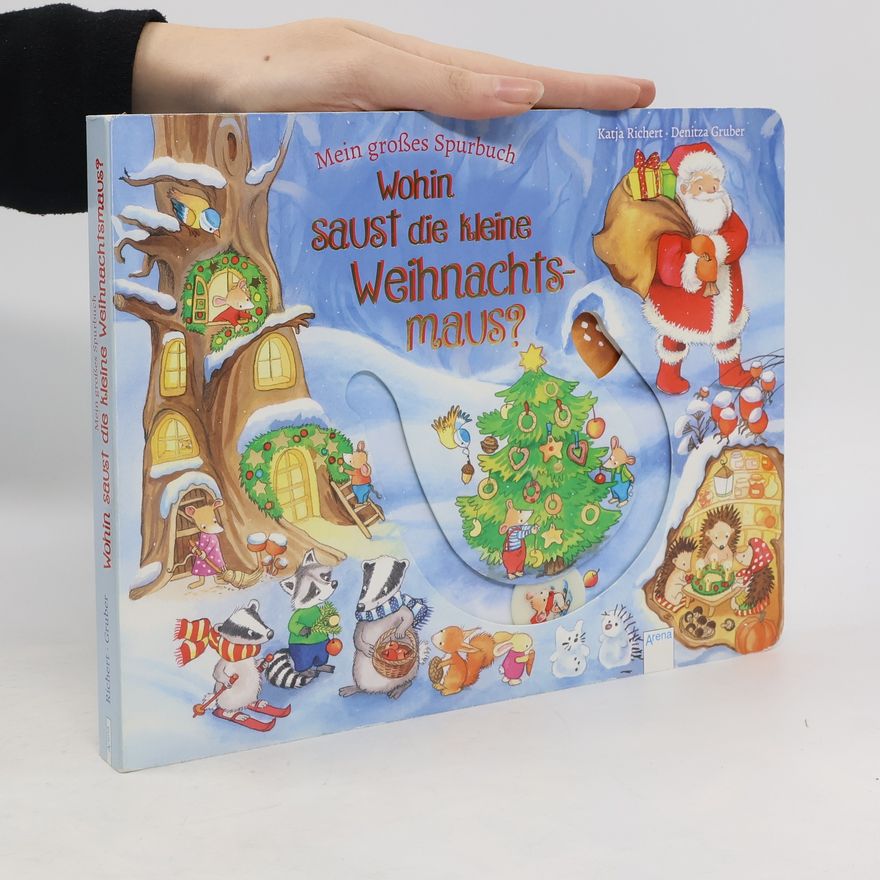 Katja Richert Mein großes Spurbuch - wohin saust die kleine Weihnachtsmaus?