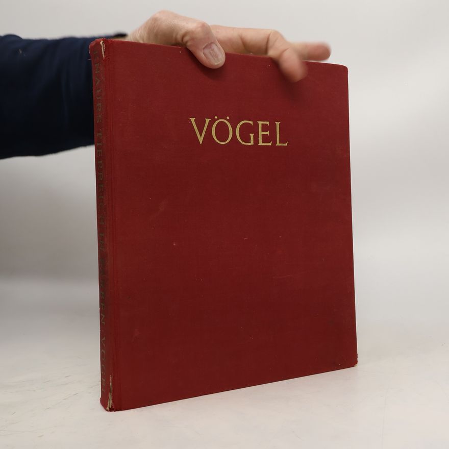 Autorenkollektiv Vögel