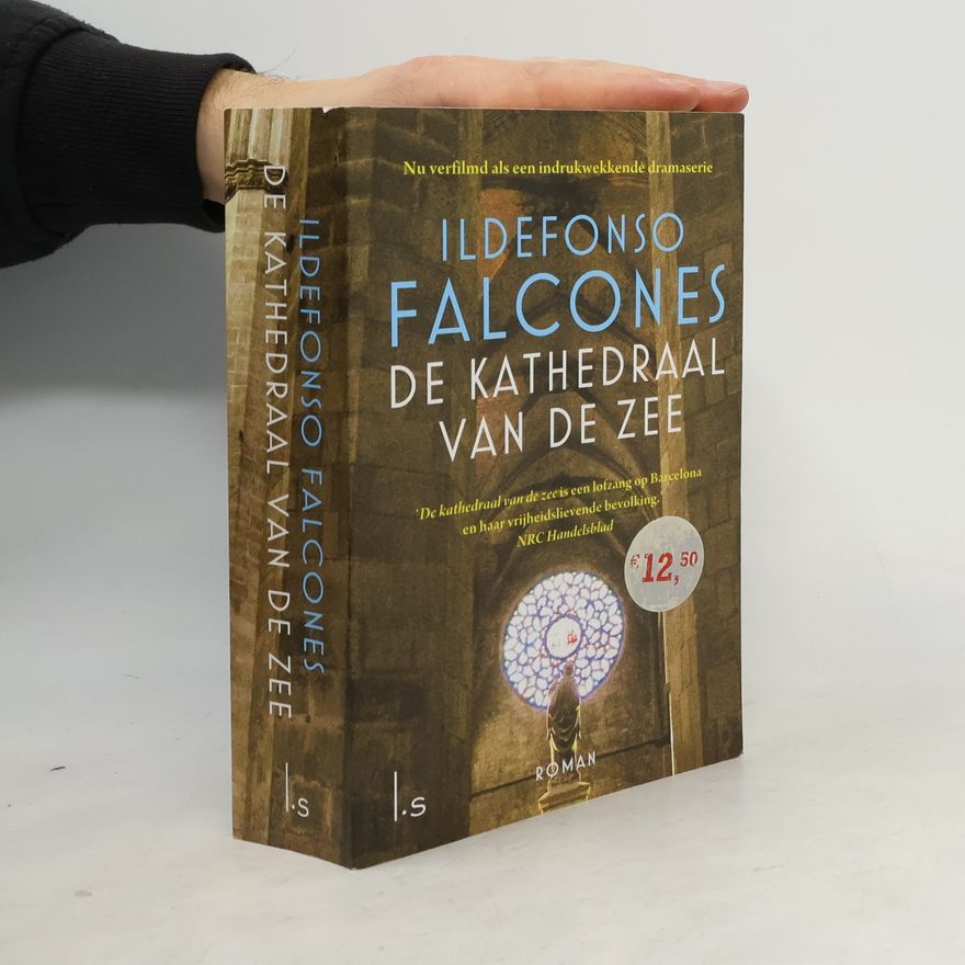 Ildefonso Falcones De kathedraal van de zee