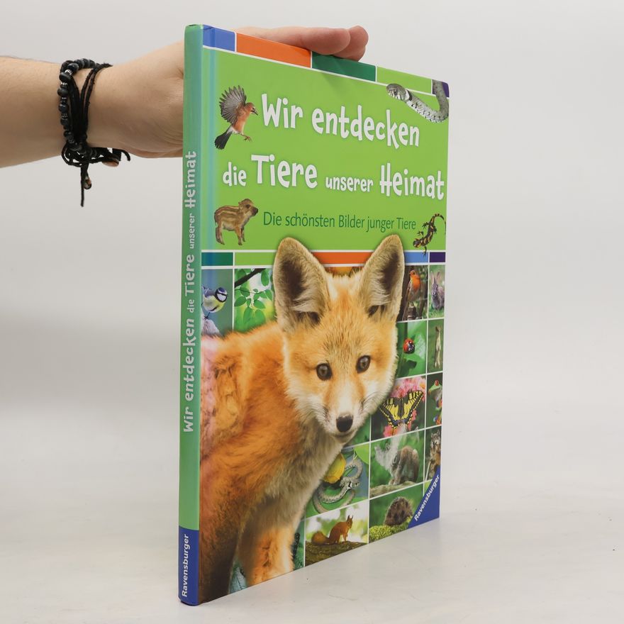 Colette Barbe Julien Wir entdecken die Tiere unserer Heimat
