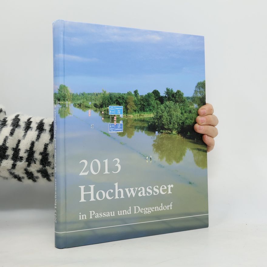 Autores varios 2013 Hochwasser in Passau und Deggendorf
