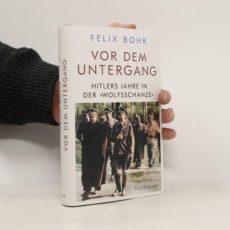 Felix Bohr Vor dem Untergang