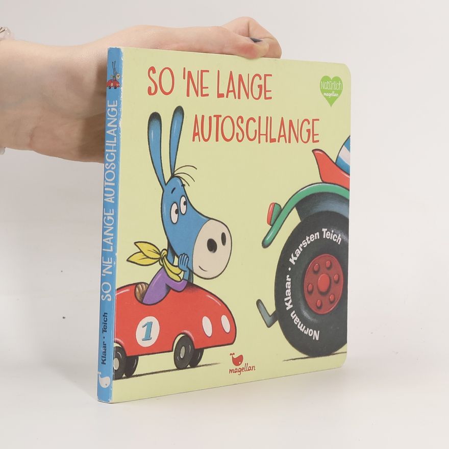 Karsten Teich So 'ne lange Autoschlange