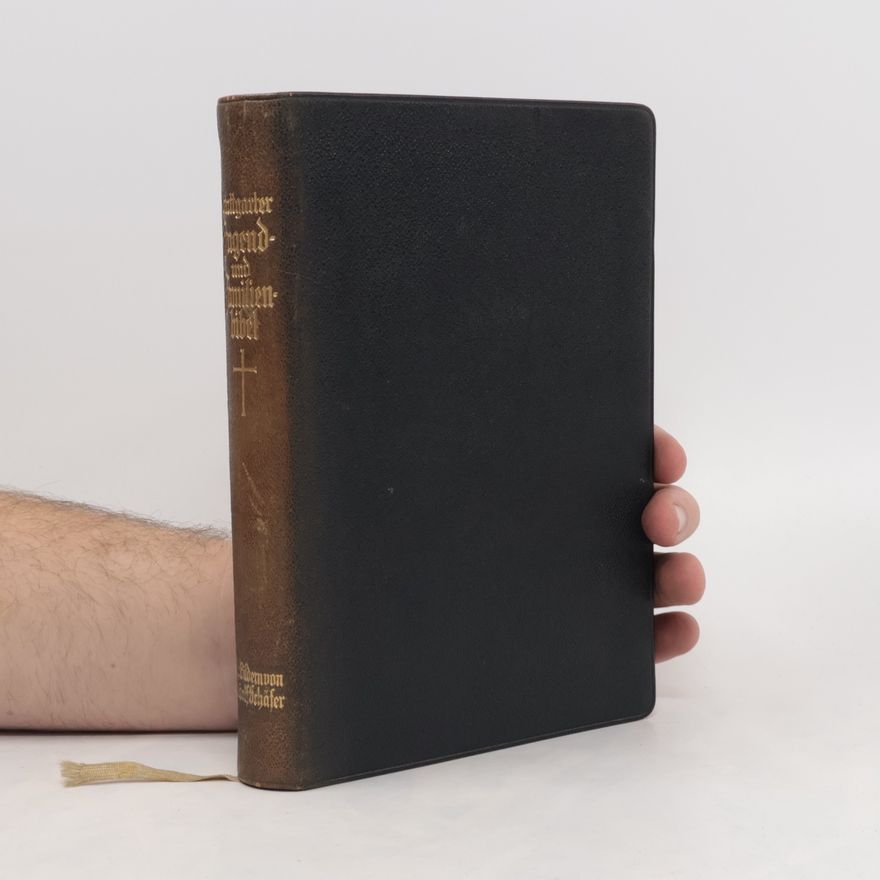 Martin Luther Stuttgarter Jugend- und Familienbibel zur Einführung ins Bibellesen