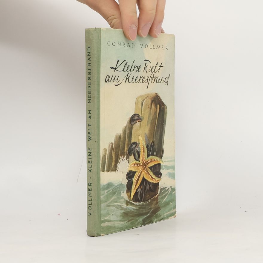 Jürgen Ritter Kleine Welt am Meeresstrand