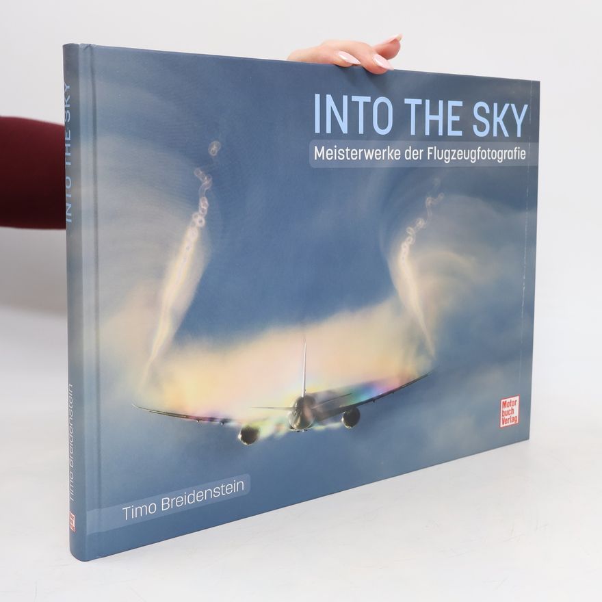 Timo Breidenstein Into the Sky