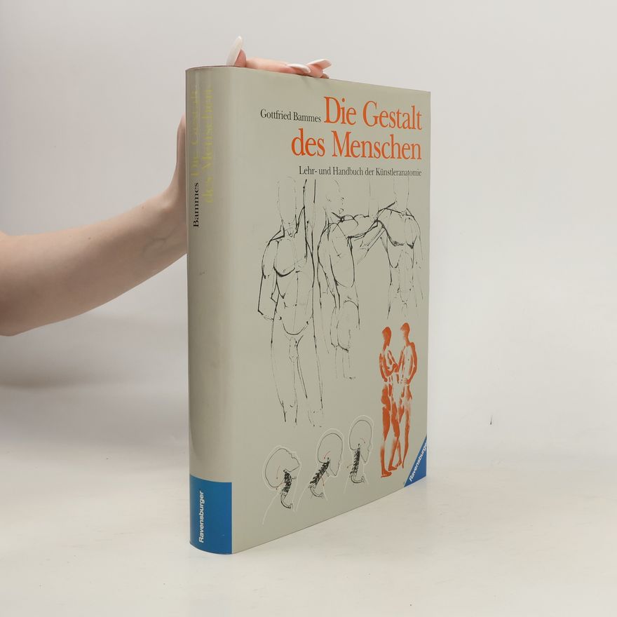 Gottfried Bammes Die Gestalt des Menschen. Lehr- und Handbuch der Künstleranatomie.