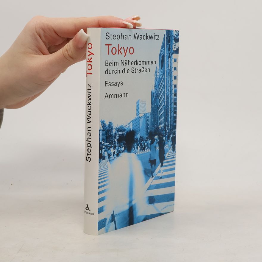 Stephan Wackwitz Tokyo beim Näherkommen durch die Strassen