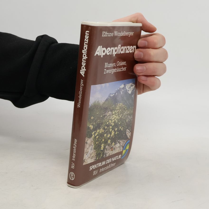 Elfrune Wendelberger Alpenpflanzen