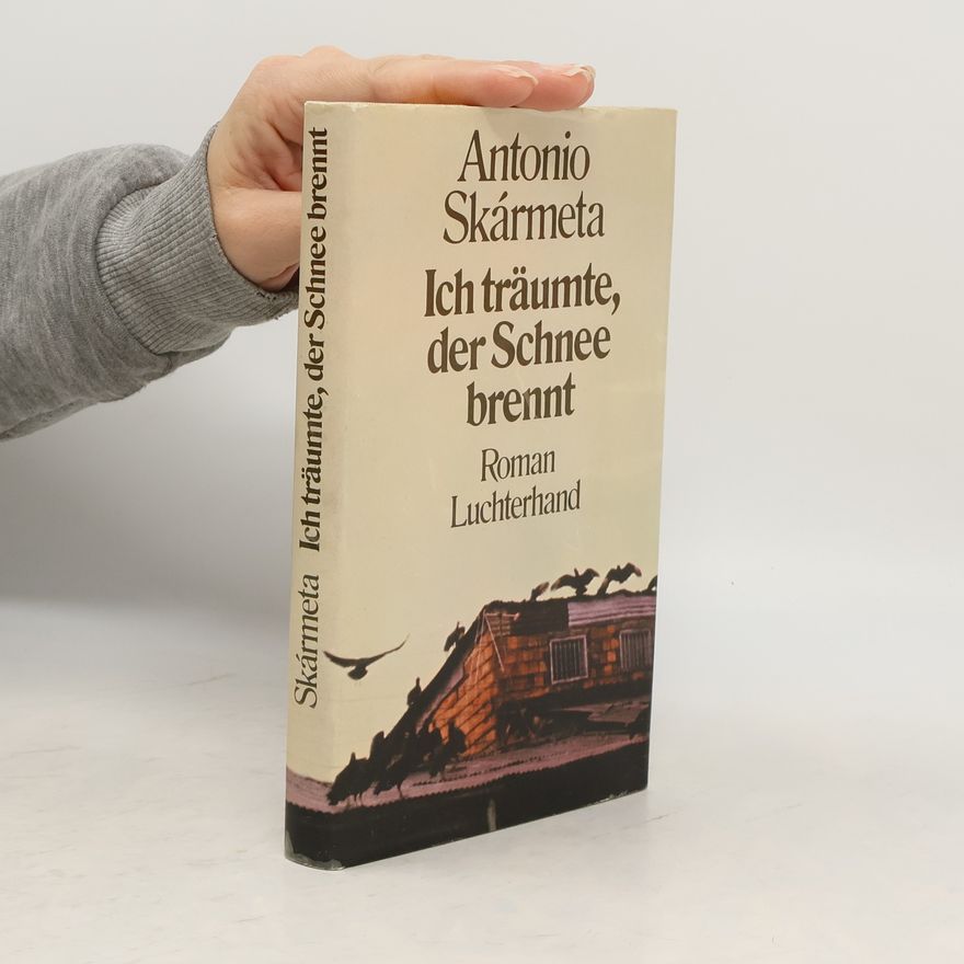 Antonio Skármeta Ich träumte, der Schnee brennt