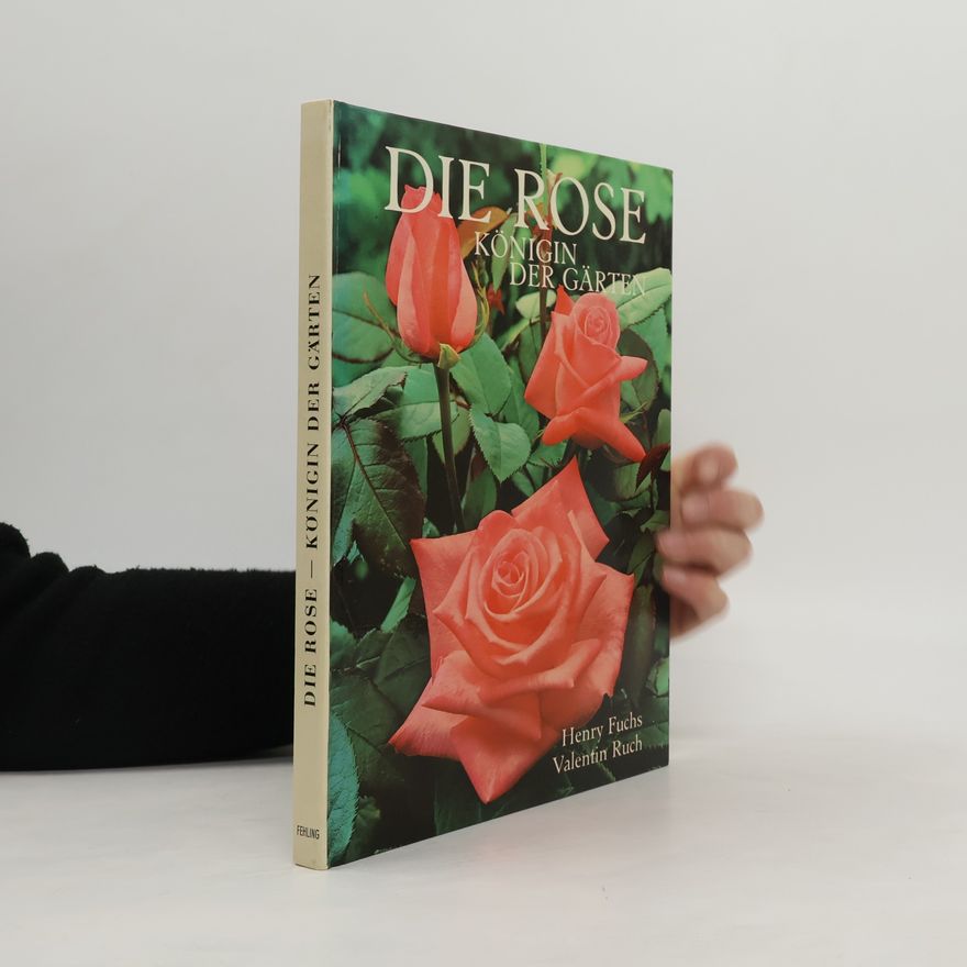Henry Fuchs Die Rose
