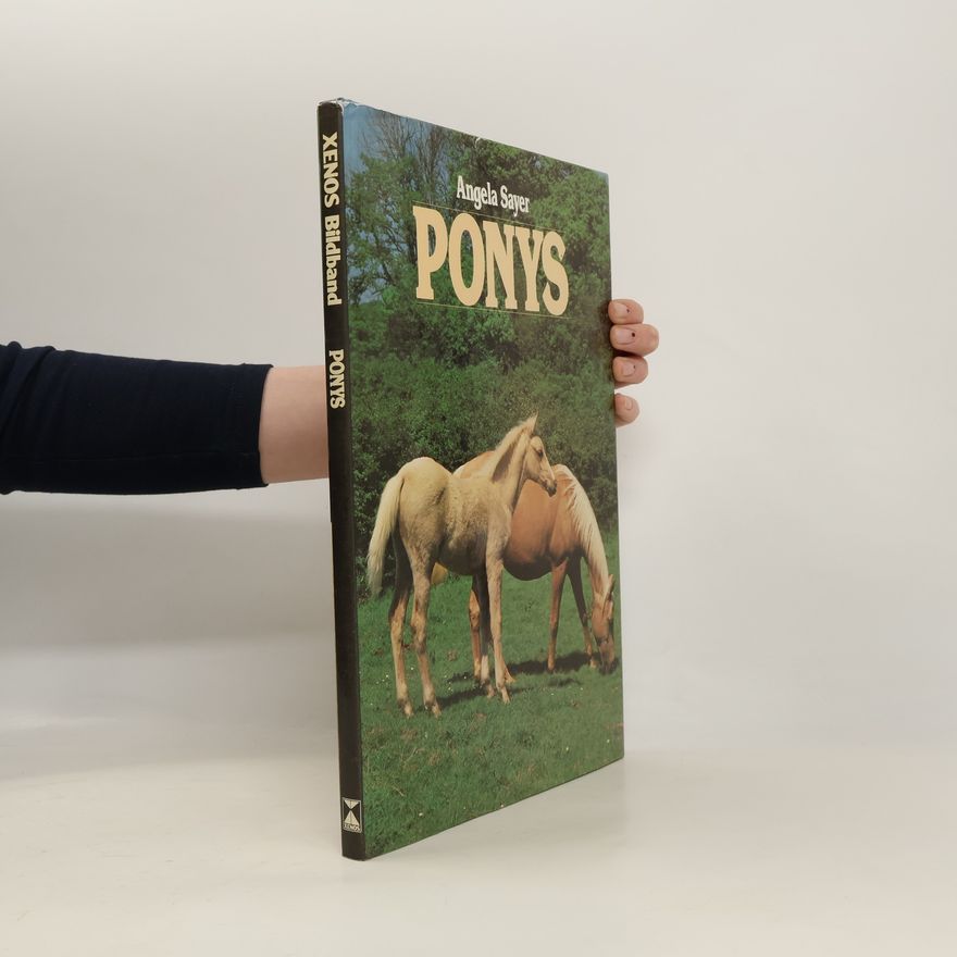 Angela Rixon Ponys