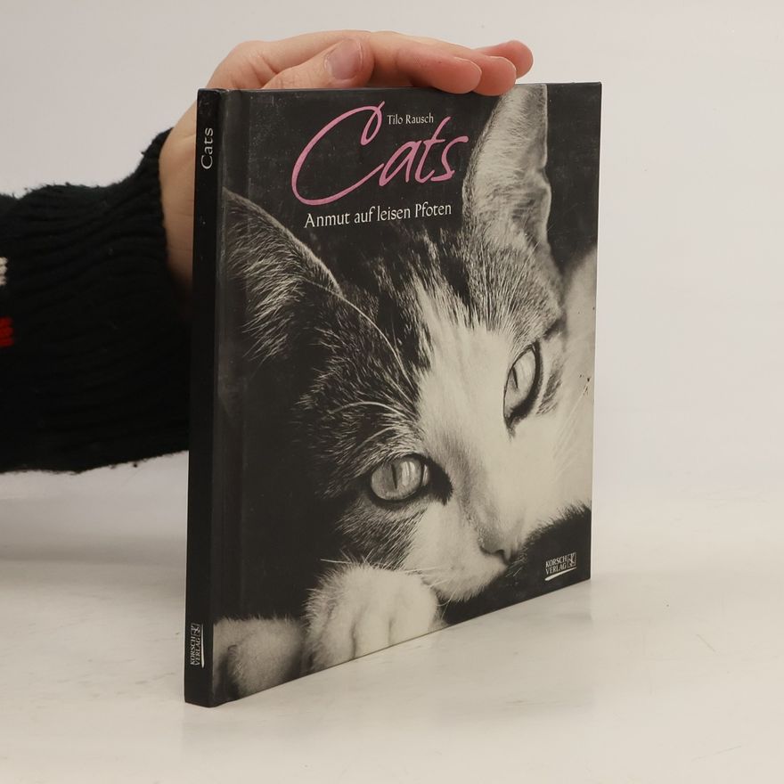 Tilo Rausch Cats