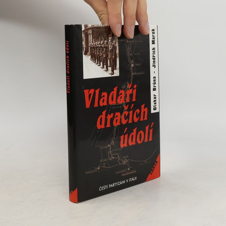 Jindřich Marek Vladaři dračích údolí