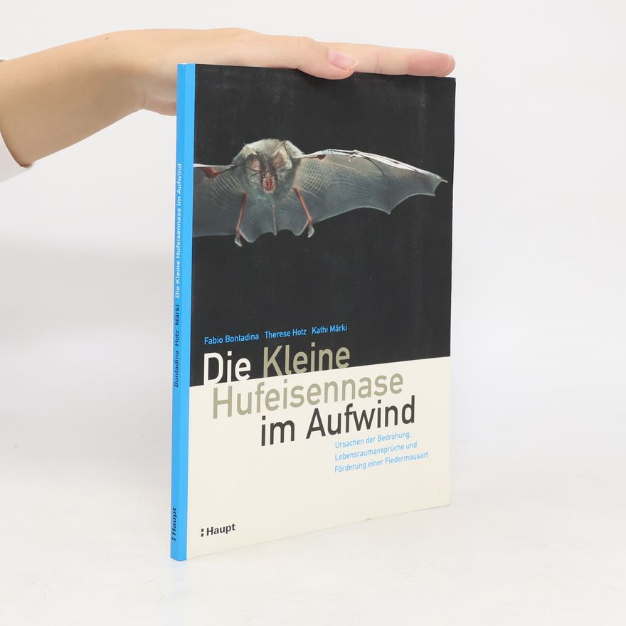 Kathi Märki Die kleine Hufeisennase im Aufwind
