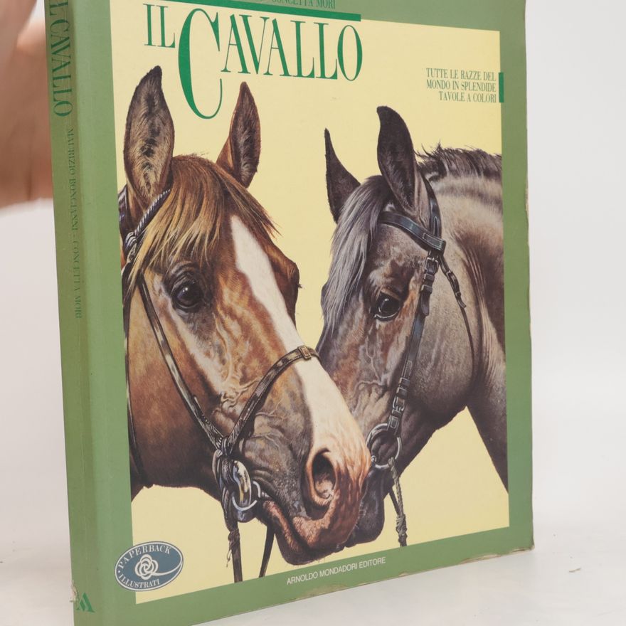 Maurizio Bonellini Il cavallo