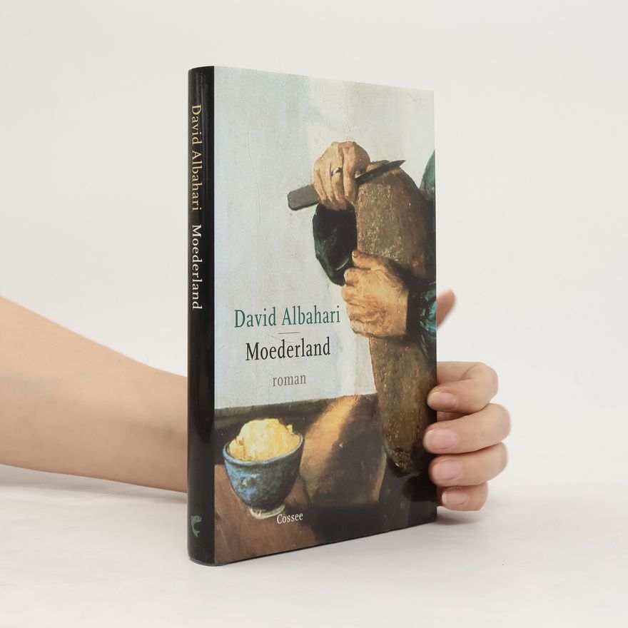 David Albahari Moederland - druk 1
