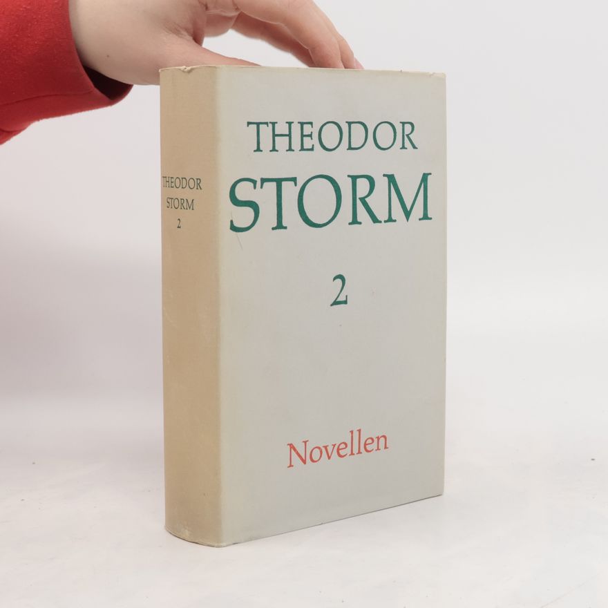 Theodor Storm Novellen 2