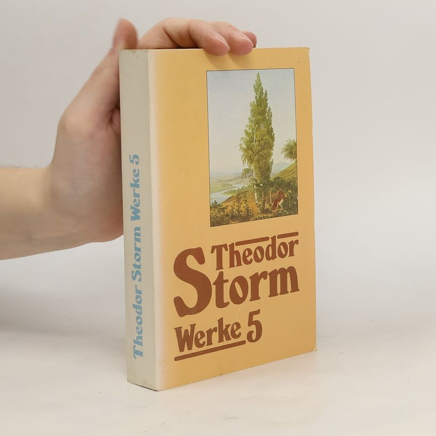 Hans Theodor Woldsen Storm Werke 5